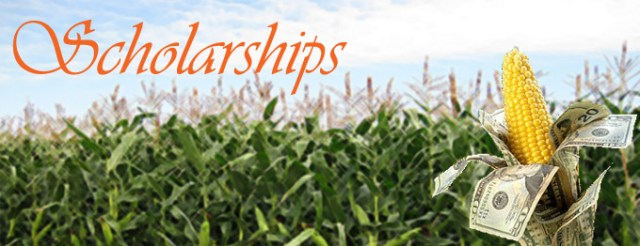 scholarships650x250