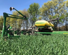 TO PLANT GREEN OR NOT TO PLANT GREEN (1)