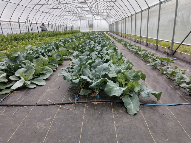 IMG_20200414_143644137_HDR