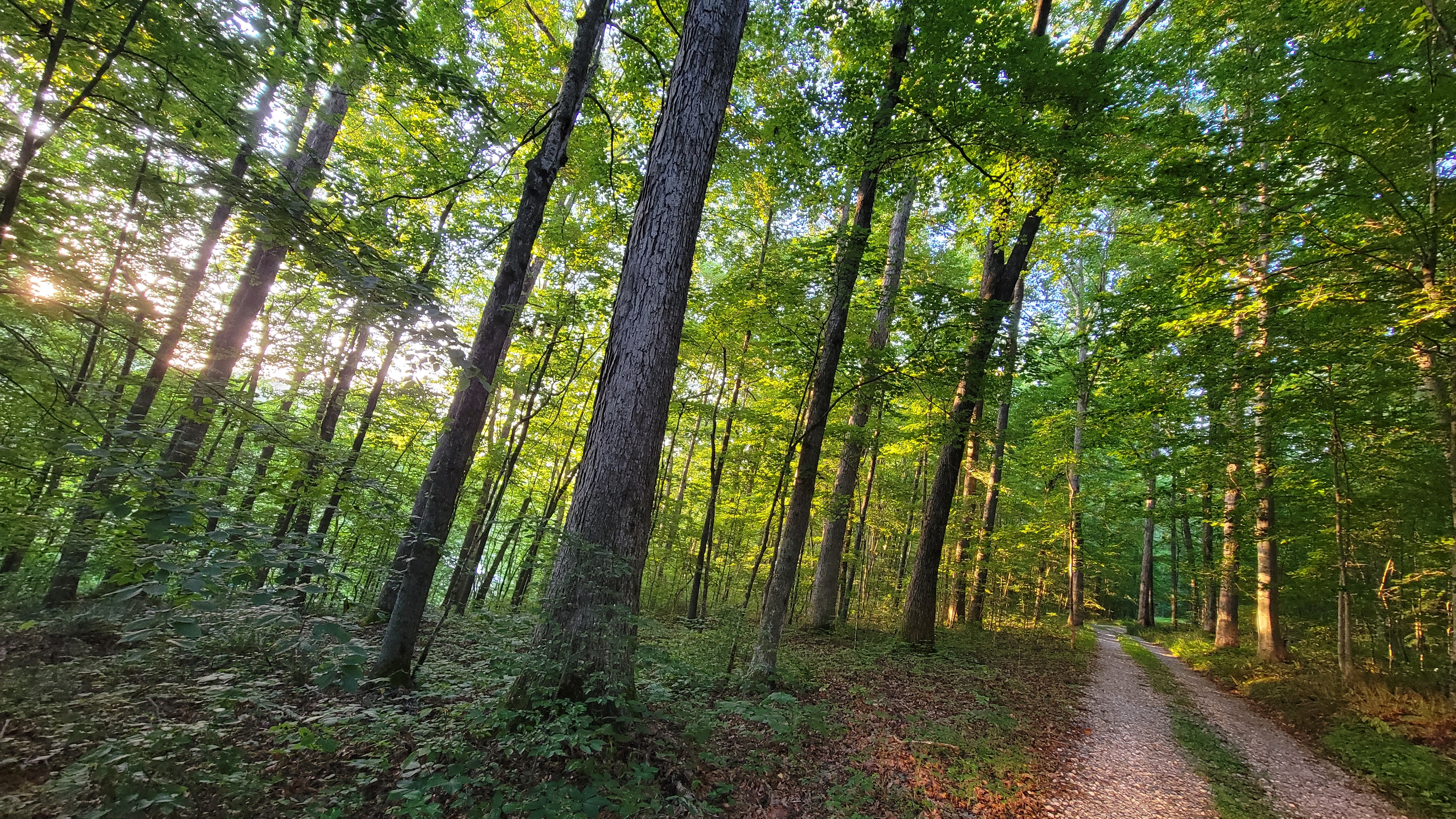 2021_practices_Holt_N_2