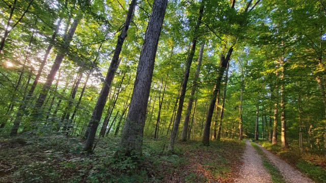 2021_practices_Holt_N_2