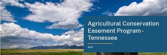 ACEP webpage top photo 1_0